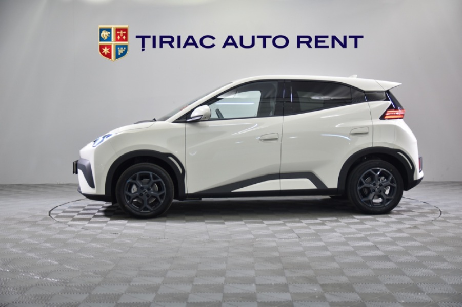 BYD  DOLPHIN SURF EV 