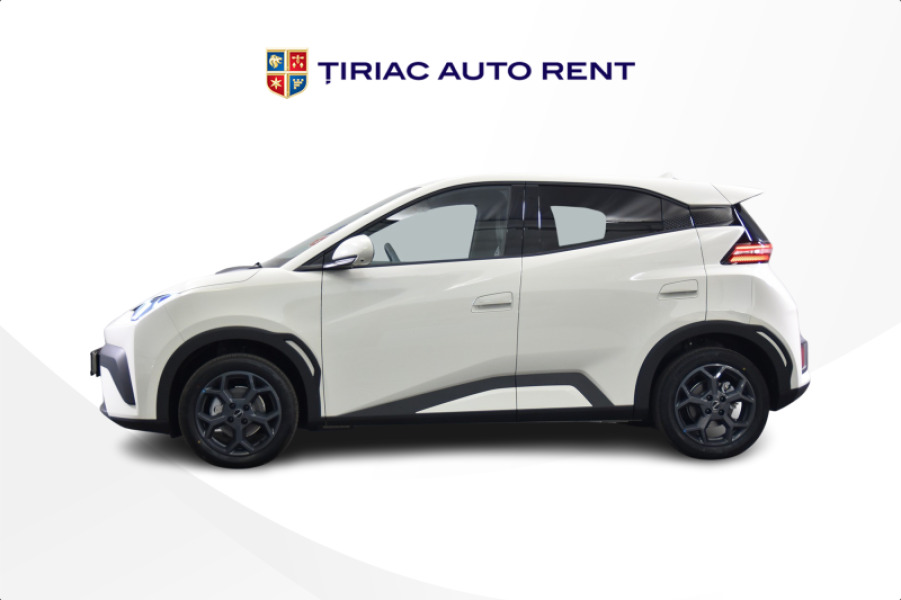 BYD Dolphin Surf - Full Electric